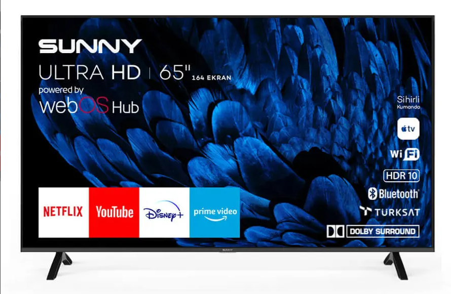 SUNNY SN65FMN252-0276 Tv